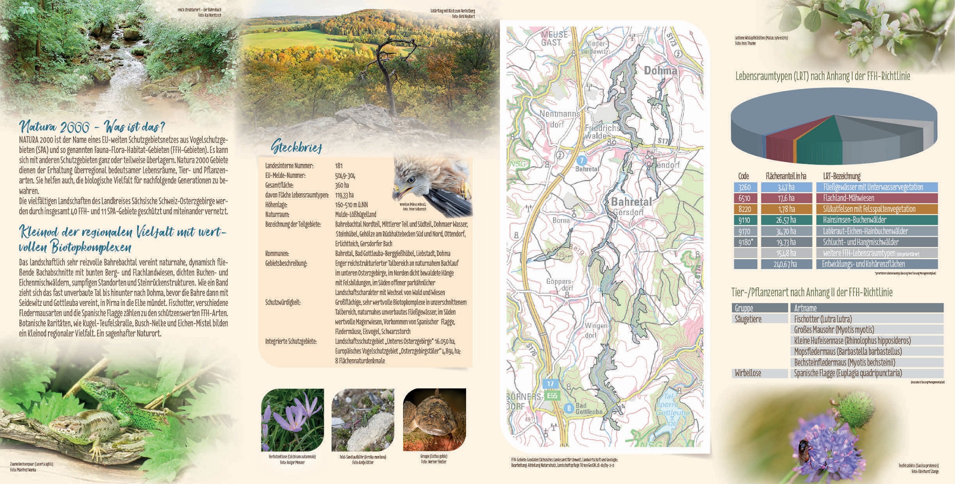 tl_files/downloads/Bilder Projekte/Projektstellen/Natura 2000 2.0/Flyer/Gebietsflyer_Bahrebachtal_2.jpg